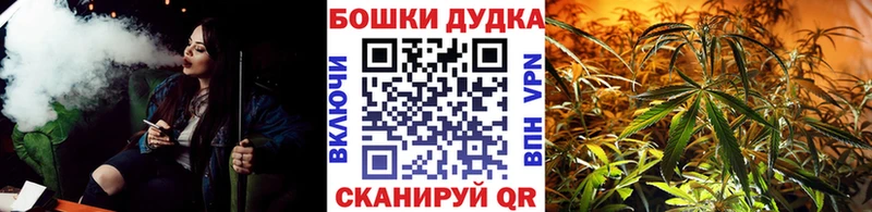 Где купить наркоту Заречный АМФЕТАМИН  Мефедрон  Метамфетамин  COCAIN  Канабис 