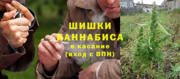 ПСИЛОЦИБИНОВЫЕ ГРИБЫ Заволжск
