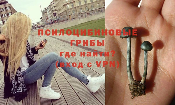 амф Мегион