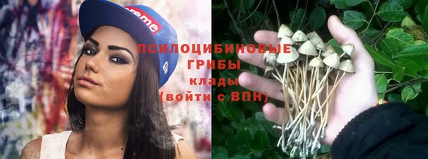 jwh Медногорск