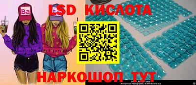 spice Бийск
