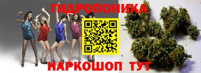 стафф Бугуруслан