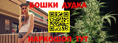 spice Бийск