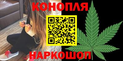 spice Бийск