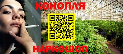 spice Бийск