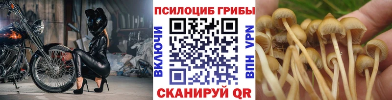 Псилоцибиновые грибы мухоморы Заречный