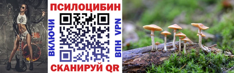 Псилоцибиновые грибы Magic Shrooms  Заречный 