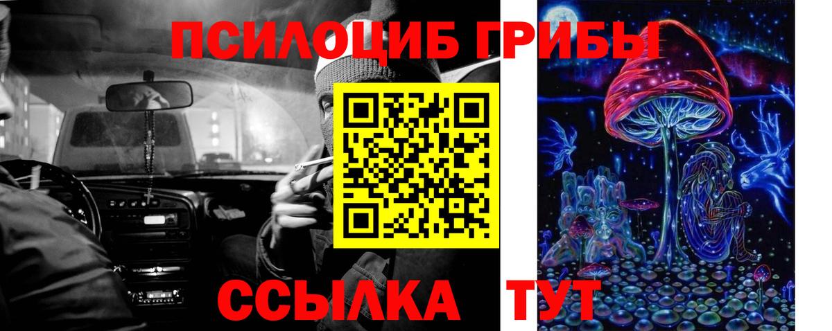 Заречный  Псилоцибиновые грибы GOLDEN TEACHER  Вход с VPN  Псилоцибиновые грибы мухоморы 